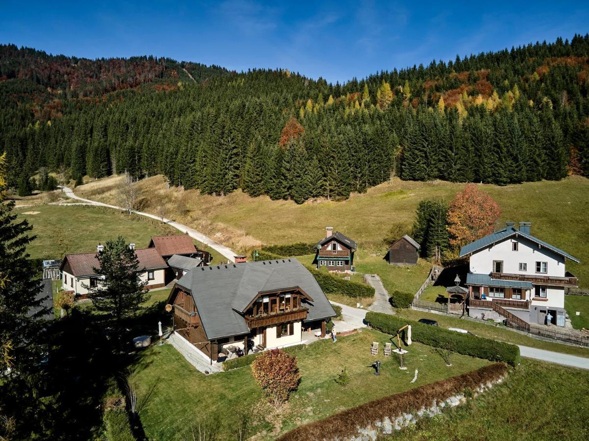 Frein Chalets - Wildalm Frein an der Murz エクステリア 写真
