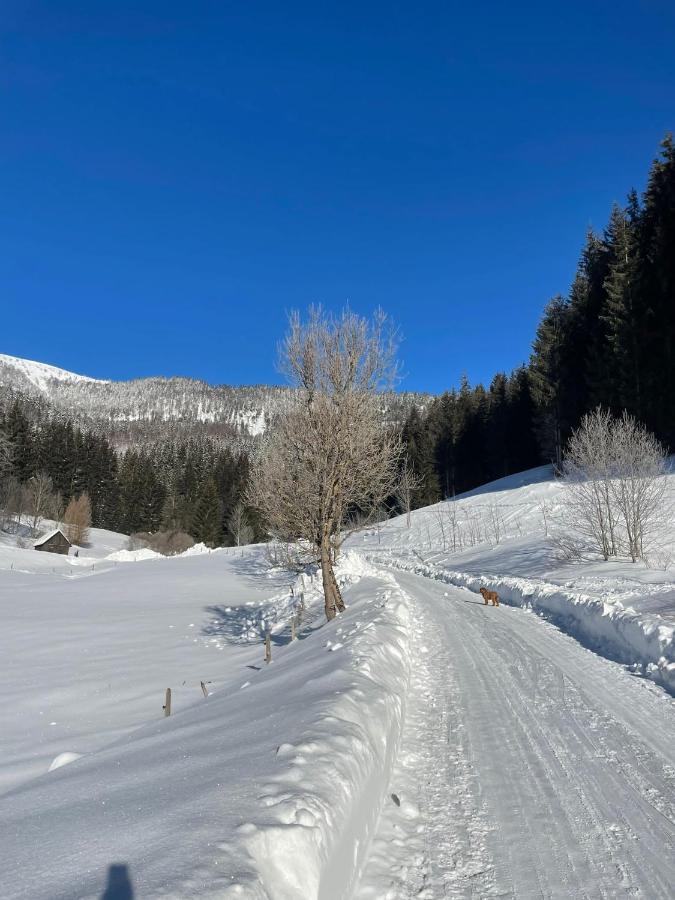 Frein Chalets - Wildalm Frein an der Murz エクステリア 写真